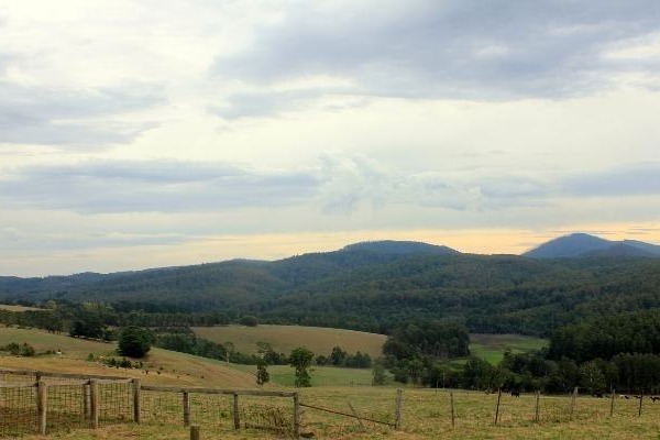 Raising funds to connect young people in regional areas with mental health support Image