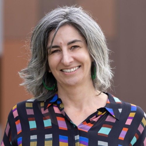 Professor Ashleigh Lin Image