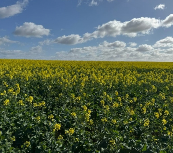 Thank you to WA's grain-growing farmers! 1 Tax Appeal 2026 article banner 10 Youth Focus